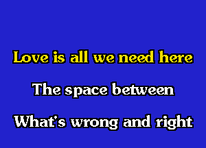 Love is all we need here
The space between

What's wrong and right