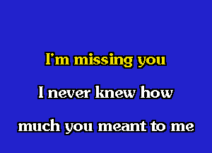 I'm missing you

I never knew how

much you meant to me