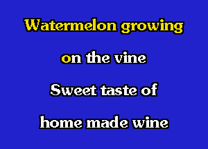 Watermelon growing

on the vine
Sweet taste of

home made wine
