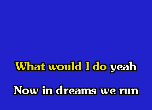 What would I do yeah

Now in dreams we run