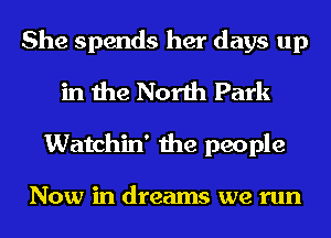 She spends her days up
in the North Park
Watchin' the people

Now in dreams we run