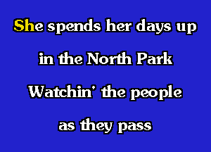 She spends her days up
in the North Park
Watchin' the people

as they pass