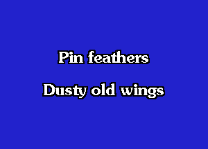 Pin feathers

Dusty old wings