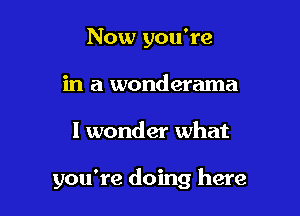 Now you're
in a wonderama

I wonder what

you're doing here