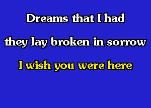 Dreams that I had
they lay broken in sorrow

I wish you were here