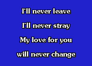 I'll never leave
I'll never stray

My love for you

will never change