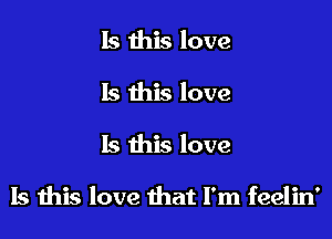 Is this love
Is this love
15 this love

Is this love that I'm feelin'