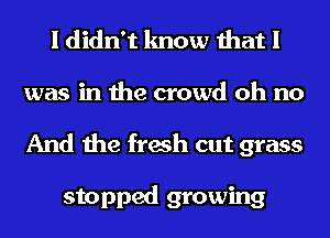 I didn't know that I
was in the crowd oh no
And the fresh cut grass

stopped growing