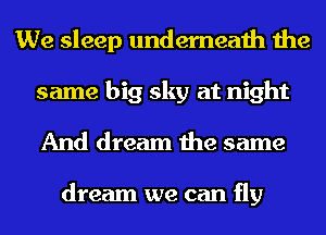 We sleep underneath the
same big sky at night
And dream the same

dream we can fly