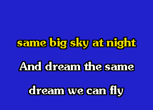 same big sky at night
And dream the same

dream we can fly