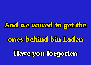 And we vowed to get the
ones behind bin Laden

Have you forgotten