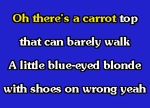 0h there's a carrot top
that can barely walk
A little blue-eyed blonde

with shoes on wrong yeah