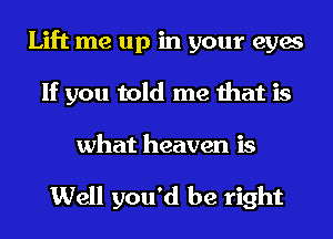 Lift me up in your eyes
If you told me that is

what heaven is

Well you'd be right