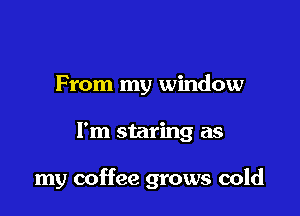 From my window

I'm staring as

my coffee grows cold