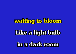 waiting to bloom

Like a light bulb

in a dark room