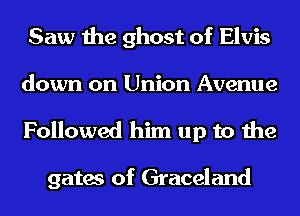 Saw the ghost of Elvis
down on Union Avenue
Followed him up to the

gates of Graceland