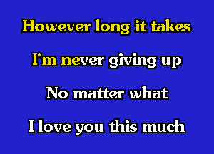 However long it takes
I'm never giving up
No matter what

I love you this much