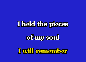 I held the pieces

of my soul

I will remember