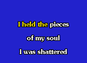 I held the pieces

of my soul

I was shattered