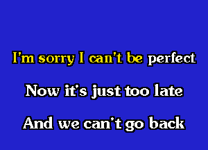 I'm sorry I can't be perfect

Now it's just too late

And we can't go back