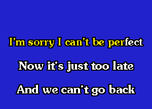 I'm sorry I can't be perfect

Now it's just too late

And we can't go back