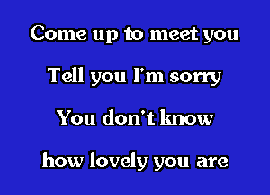 Come up to meet you
Tell you I'm sorry

You don't know

how lovely you are