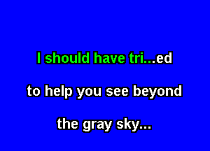 I should have tri...ed

to help you see beyond

the gray sky...