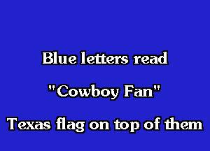 Blue letters read

Cowboy Fan

Texas flag on top of them
