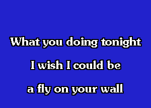 What you doing tonight
I wish I could be

a fly on your wall