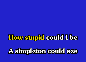 How stupid could I be

A simpleton could see