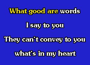 What good are words
I say to you
They can't convey to you

what's in my heart