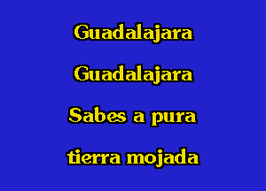 Guadalajara

Guadalajara

Sabes a pura

tierra mojada