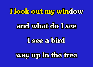 I look out my window
and what do I see

lsee a bird

way up in the tree