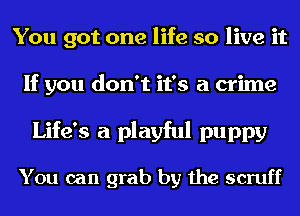 You got one life so live it
If you don't it's a crime

Life's a playful puppy

You can grab by the scruff