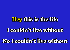 Hey this is the life
I couldn't live without

No I couldn't live without