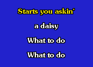 Starts you askin'

a daisy

What to do
What to do