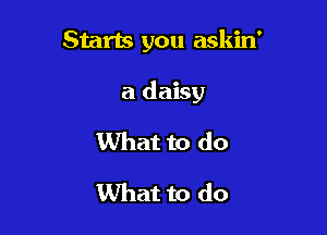 Starts you askin'

a daisy

What to do
What to do