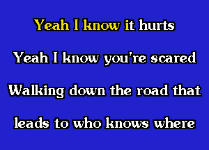 Yeah I know it hurts

Yeah I know you're scared
Walking down the road that

leads to who knows where