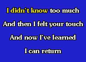 I didn't know too much
And then I felt your touch
And now I've learned

I can return