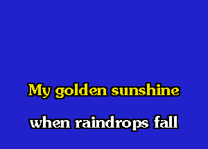 My golden sunshine

when raindrops fall