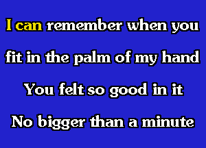 I can remember when you
fit in the palm of my hand
You felt so good in it

No bigger than a minute