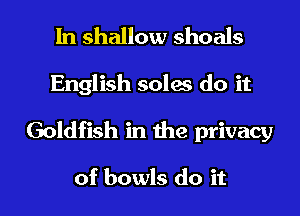 In shallow shoals
English soles do it
Goldfish in me privacy

of bowls do it I