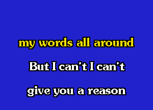 my words all around

But I can't I can't

give you a reason