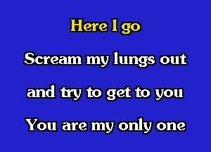 Here I go

Scream my lungs out

and try to get to you

You are my only one