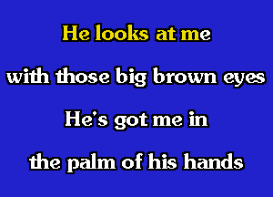 He looks at me
with those big brown eyes
He's got me in

the palm of his hands