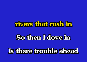rivers that rush in

So then I dove in

Is there trouble ahead