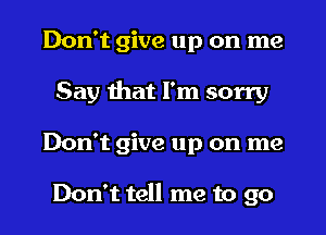 Don't give up on me
Say that I'm sorry
Don't give up on me

Don't tell me to go