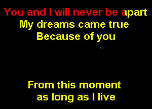 You and I will never be apart
My dreams came true
Because of you

From this moment
as long as I live