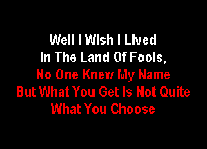 Well I Wish I Lived
In The Land Of Fools,

No One Knew My Name
But What You Get Is Not Quite
What You Choose