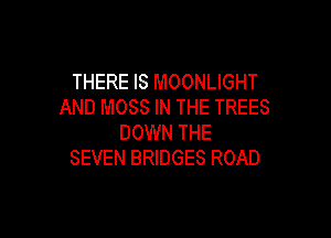 THERE IS MOONLIGHT
AND MOSS IN THE TREES

DOWN THE
SEVEN BRIDGES ROAD